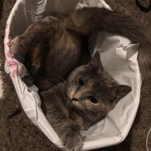 Meet your Posher, Dylan